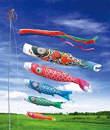 �����Y��